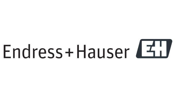 endress-hauser-vector-logo 1